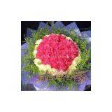 Dallas (Peach) thumbnail-1