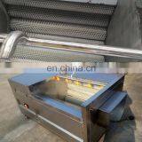 Potato Washer Sweet Potato Peeler Machinery Potato Washing and Peeling Machine thumbnail-5