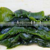 Wholesale Salted Seaweed Kelp Knot, Frozen Food Green Laminaria thumbnail-2