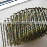 Roofing Coil Nail (factory)