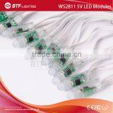 WS2811 Pixel Led Module 5V IP68 Waterproof White Wire