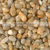 Yellow Cobble thumbnail-1