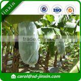 Shopping UV Protection Banana Fruit Cover Bag/Banana Sleeping Bag at Low Price thumbnail-2