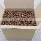 Star Aniseed Autumm Crop Chinese Exporter for Cook thumbnail-1