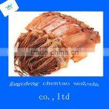 Dried Shredded Squid