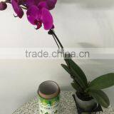 Professional Factory High Quality Bottle Labels Self-adhesive Stickers Both Sides Printing