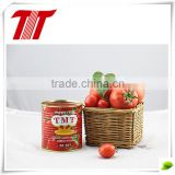 Canned tomato paste China hot sell