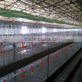 Factory Chicken broiler Cages of H type for Farm with 3layer,4layer,5layer (Hot galvanized/Electric galvanized)