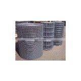 1/4 Inch Galvanized Welded Wire Roll