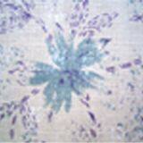 Ramie Yarn-dyed Fabric thumbnail-3