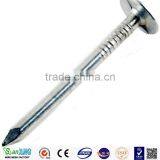 Building Material Common Nail Iron Rod thumbnail-3