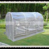 Green House/garden Green House/PE GREEN HOUSE thumbnail-1