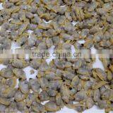 Frozen Boiled Baby Clam Meat thumbnail-1