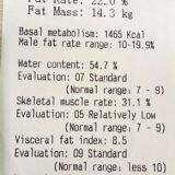 DHM-600A Medical and Personal Body Composition Analysis ,body Fat ,blood Pressure ,ultrasonic Height and Weight Scale thumbnail-4