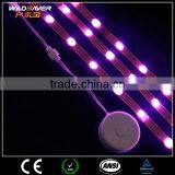 floor diffuse side emitting flexible black light uv led strip light