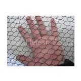 Galvanized Steel PVC Coated Wire Mesh Fence , Electric Poultry Netting