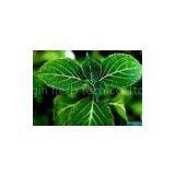 Yohimbine P.e. thumbnail-1