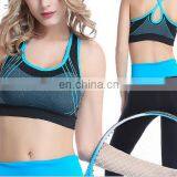 2017 Sport Bra/ Support Sports Bra/ Sexy Hot Fashion Inner Wear Made In China