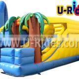 Cartoon Summer Inflatable Slide