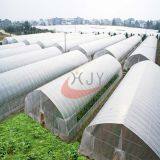 Xinghua Jinyi Greenhouse Equipment Co.,Ltd company overview - view 3 thumbnail