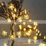 Christmas Festival Colorful Different Color Party Outdoor Led String Light thumbnail-4