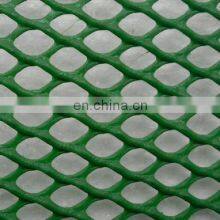XINHAI Factory Product HDPE Plastic Flat Mesh/Farming Plastic Net thumbnail-4
