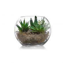 Glass Fish Bowl thumbnail-4