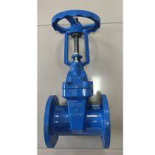 BS Rising Resilient Seat Gate Valve PN10 PN16 DN50-DN1000 Wedge Type Rising Resilient Seat Gate Valve for Water Industrial Pipeline thumbnail-1