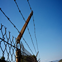 Security Protection Prison Applications Galvanized Cattle Barbed Wire thumbnail-4