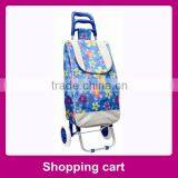 Fashionable Folding Push Carts for Seniors