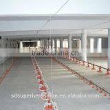 Automatic Poultry Feeding Line Poultry Drinking Equipment