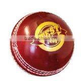 Cricket Ball thumbnail-1