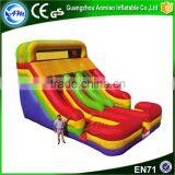 High Quality Colorful Giant Adult Inflatable Slide,double Water Slide for Sale thumbnail-1