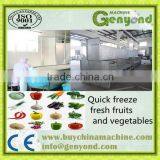 Tunnel Quick Food Freezer With CAS Function (1000Kg/H Type) Quality Choice