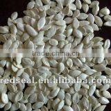 White Pumpkin Seeds