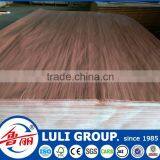 Recon Gurjan or Keruing Face Veneer thumbnail-5
