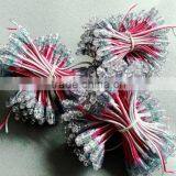 12mm F8 Strawhat Led Pixel Light USD0.034