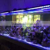 2016 New Product Android App Control Led Reef Lighting 4 Channels via Wifi Coral Reef Use Led Aquarium thumbnail-5