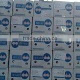 Fresh Garlic thumbnail-4