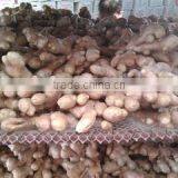 Qingdao W.R.Y Industry Trading Co., Ltd. company overview - view 2 thumbnail