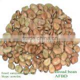 Chinese Yellow Horse Beans