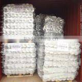 Qingdao Hetian Import And Export Co., Ltd. company overview - view 3 thumbnail