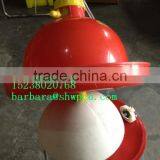 Poultry Plasson Chicken Drinker 0086-15238020768