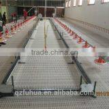 Inexpensive Fuhua Poutry Feeding Chain System