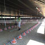 Chiken Feeding System Poultry Farm Production thumbnail-2