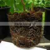 Phosphorus Fertilizer