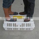 Plastic 2017 Professional Plastic Poultry Layer Cage for Sale Made in China Plastic Cage Bird Feeders thumbnail-6