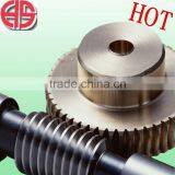 Worm Gear thumbnail-1