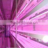 Plant Factory in Container thumbnail-2