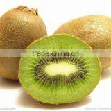 Microwave Vacuum Dryer for Kiwi thumbnail-2